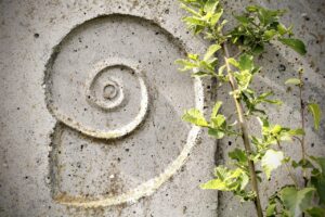 snail, relief, texture, wall, shell, stone, spiral, ornament, template, structure, figure, piece, facade, maori figure, art, symbol